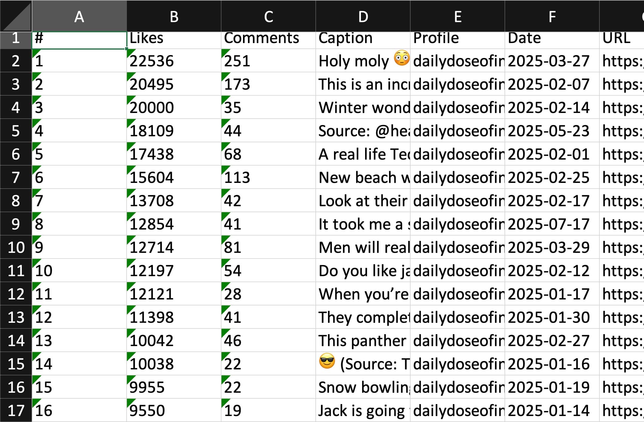 Export & Analyze
